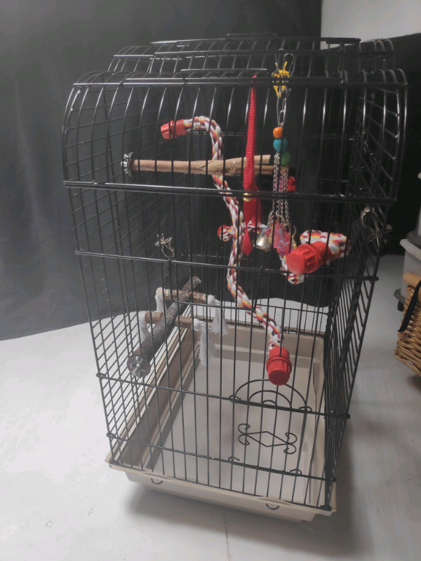 budgie cages gumtree